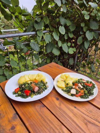 platzhalter