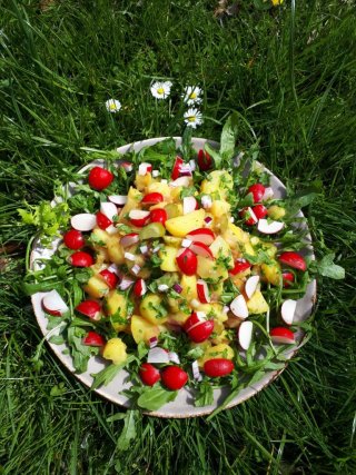 platzhalter