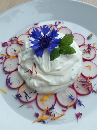 platzhalter