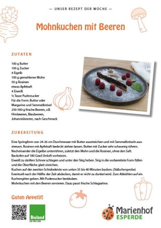 platzhalter