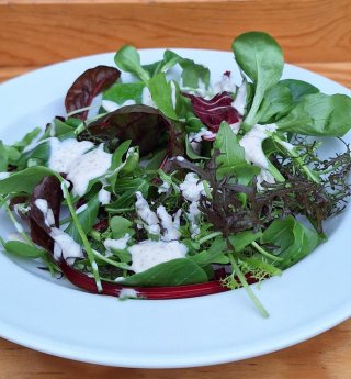 platzhalter