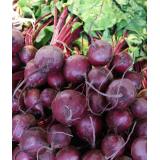 Rote Bete Bund