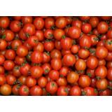 Tomate Cherry