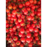 Tomate Cherry rot