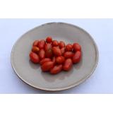 Tomate Dattelcherry