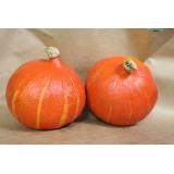 Kürbis Hokkaido EIGEN