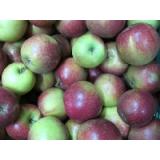 Apfel Natyra (knackig-saftig)
