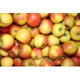 Apfel für Kinder