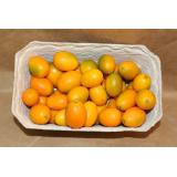 Kumquat