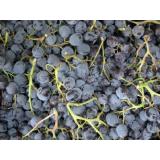 Traube Muscat de Hambourg