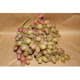 Traube Pink Muscat kernlos