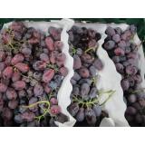 Traube rot kernlos