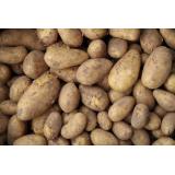 Kartoffel Goldmarie lose (festk.)