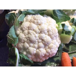 Blumenkohl eigen