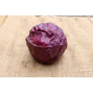 Rotkohl