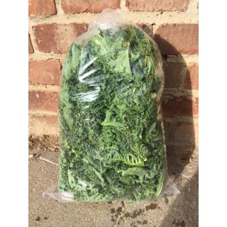 Grünkohl gezupft 1 kg Beutel
