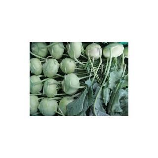 Kohlrabi