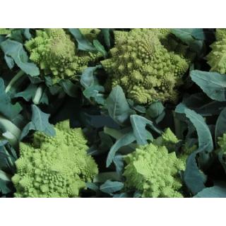 Romanesco