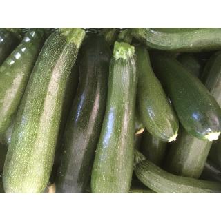 Zucchini grün eigen