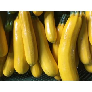 Zucchini gelb