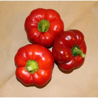 Paprika Liebesapfel rot eigen