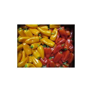 Snackpaprika