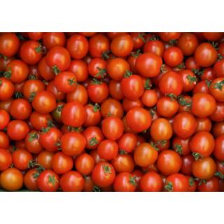 Tomate Cherry