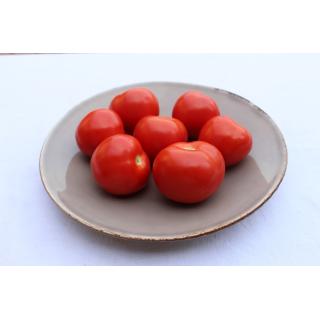 Tomate Rougella