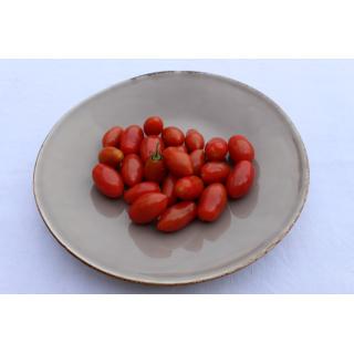 Tomate Dattelcherry