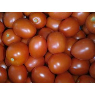 Tomate San Marzano eigen