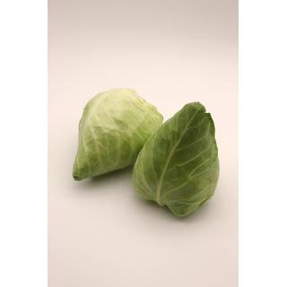 Spitzkohl