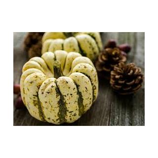 Kürbis Sweet Dupling