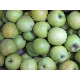 Apfel Gold Rush (süß-sauer)