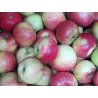 Apfel Deljonka (süß-sauer)