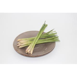 Zitronengras im Bund