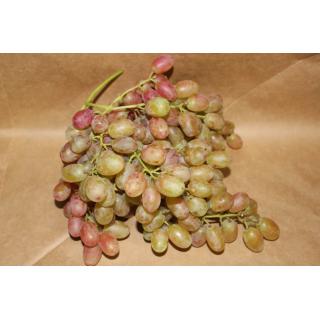 Traube Pink Muscat kernlos