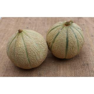Melone Charentais