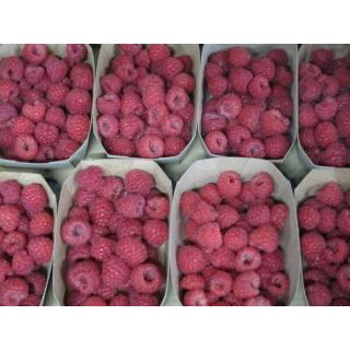 Himbeeren