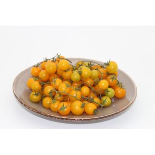 Cherrytomate gelb