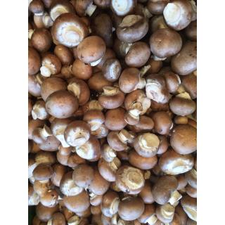 Champignons