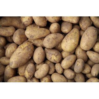 Kartoffel Goldmarie lose (festk.)