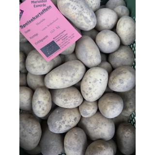 Kartoffel Mariola lose (vorw. fest)