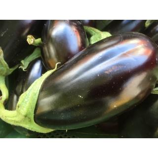 Aubergine schwarz eigen