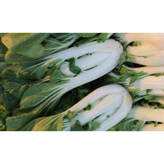 Pak Choi