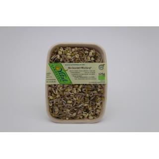 Gourmet Sprossen Mischung
