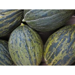Honigmelone Piel de Sapo