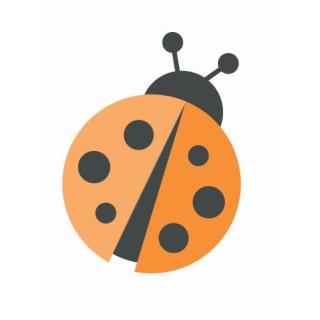 Campingkiste Gemüse