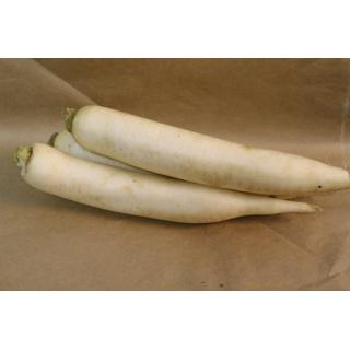 Rettich weiß