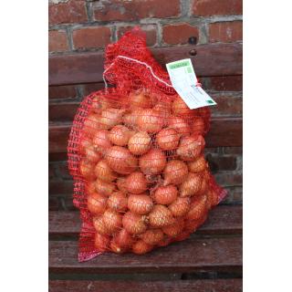 Zwiebeln, 10kg-Sack