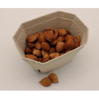 Mandel in der Schale